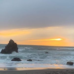 Meet your Posher, Robin